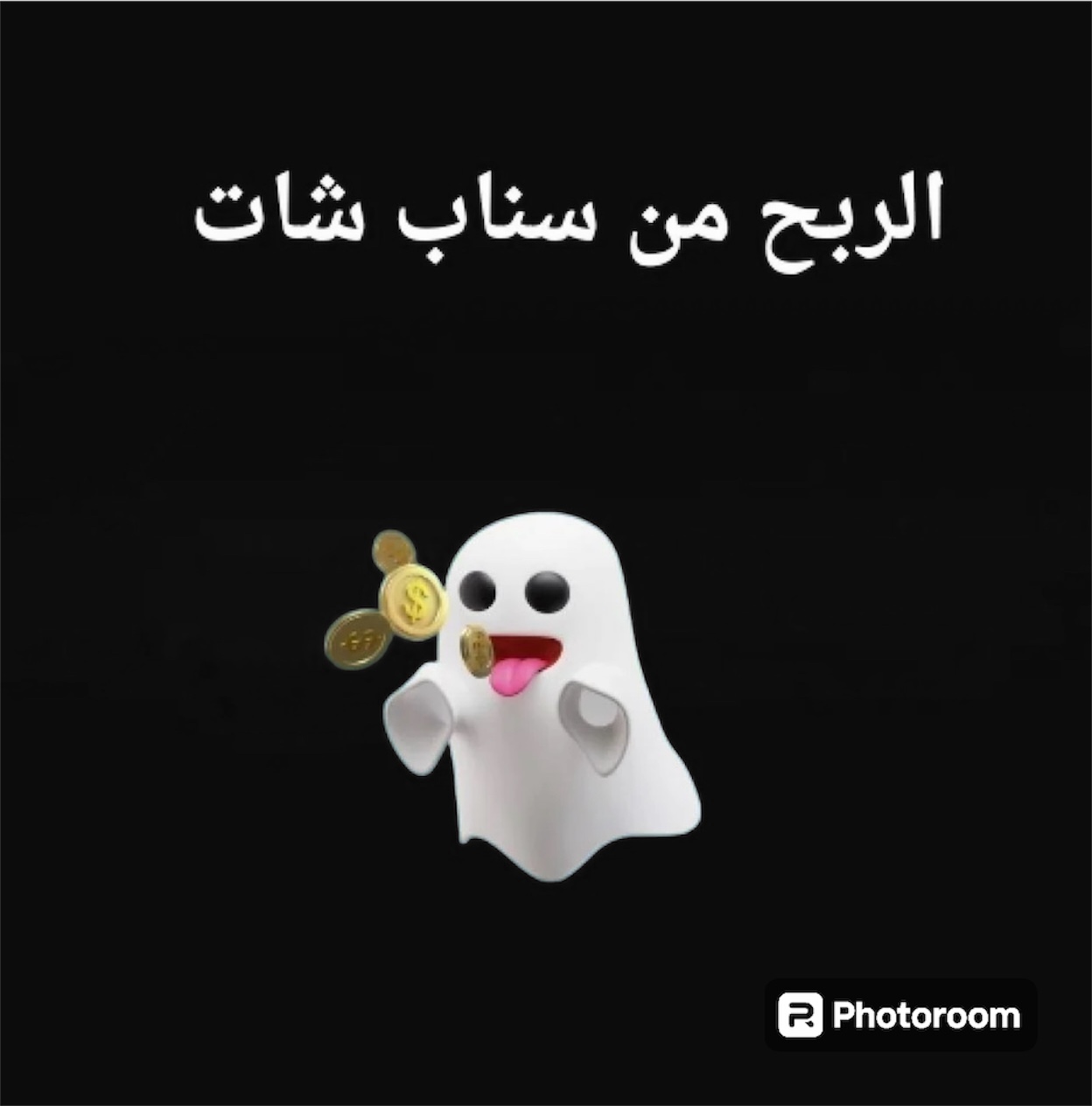 الربح من سناب شات